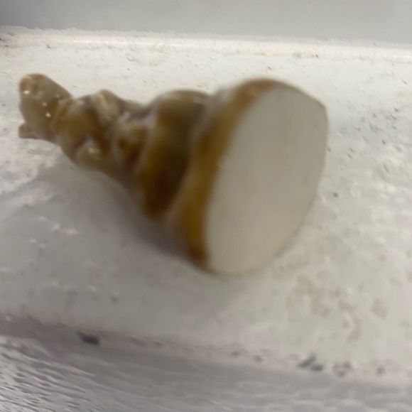 RED ROSE WADE series KANGAROO AMERICAN SERIES #2 1985-1994 WHIMSIES - Picture 4 of 4